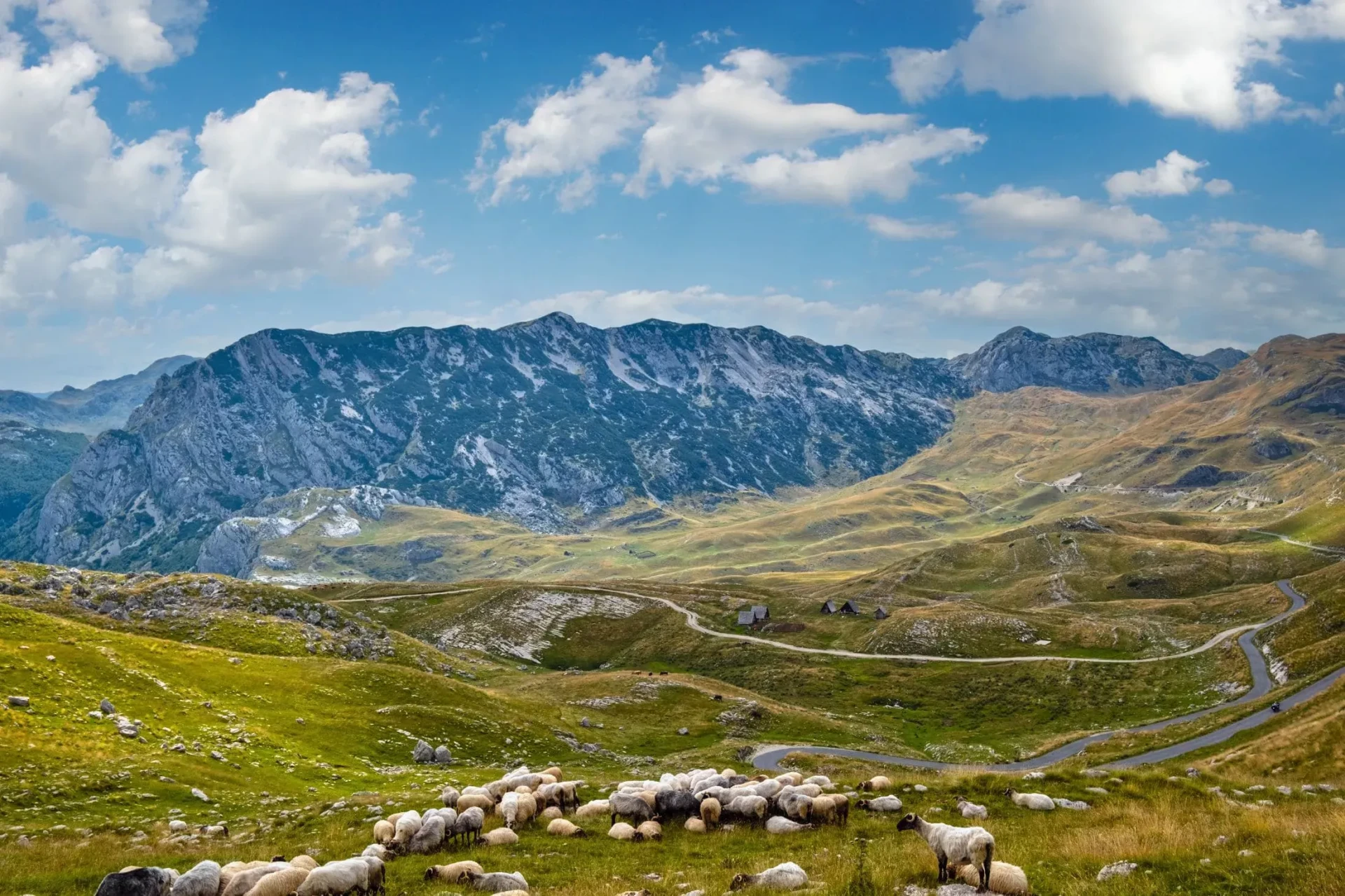 Durmitor Tours