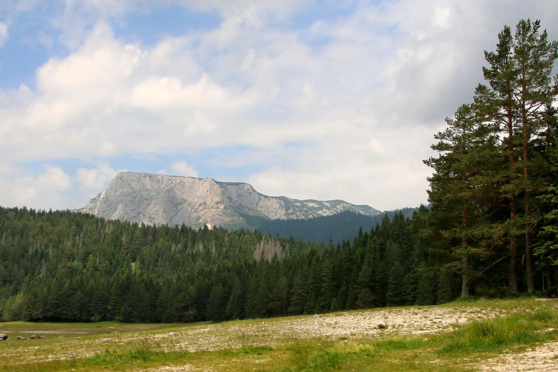 Picnic Tours in Montenegro