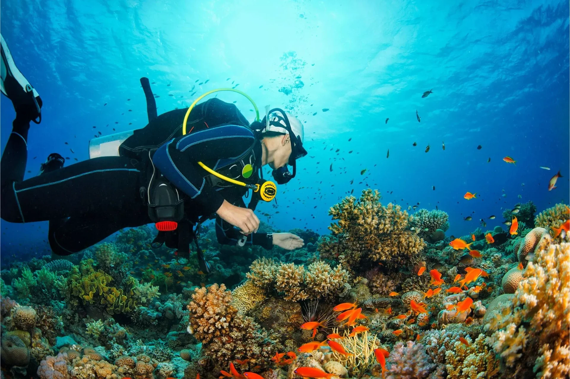 Snorkeling and Scuba Diving in Montenegro