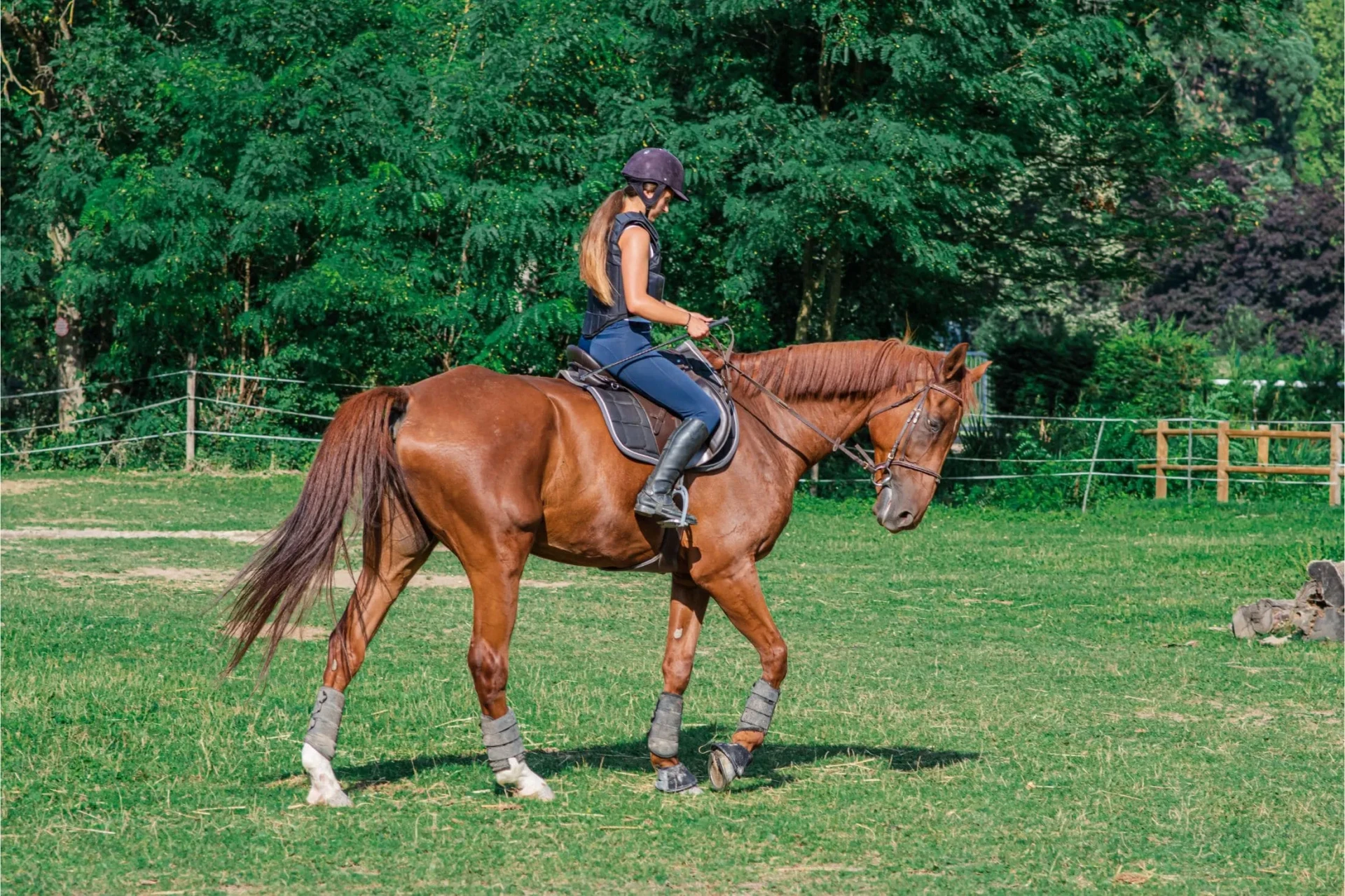 Horse Riding in Montenegro