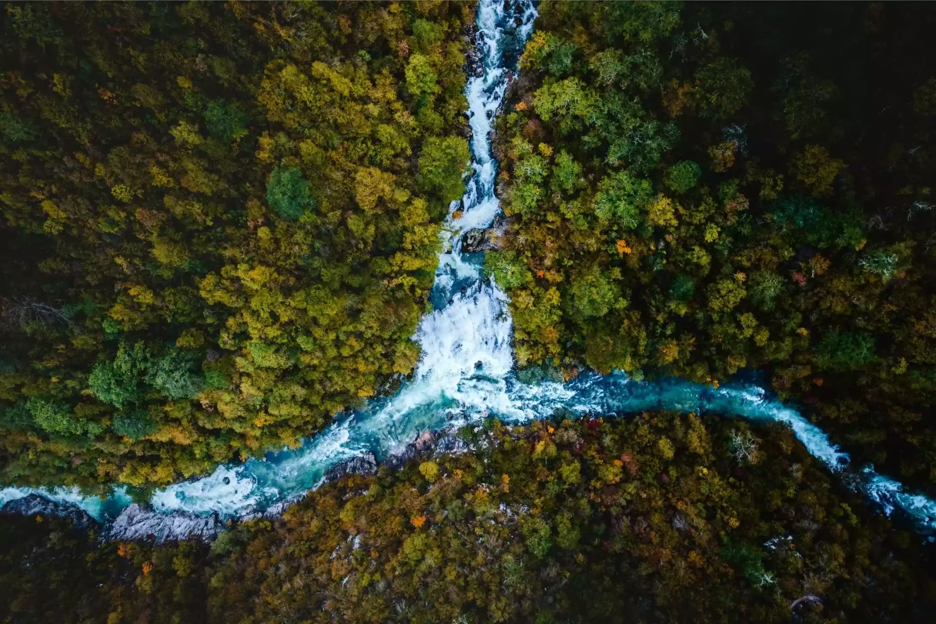River Tours in Montenegro