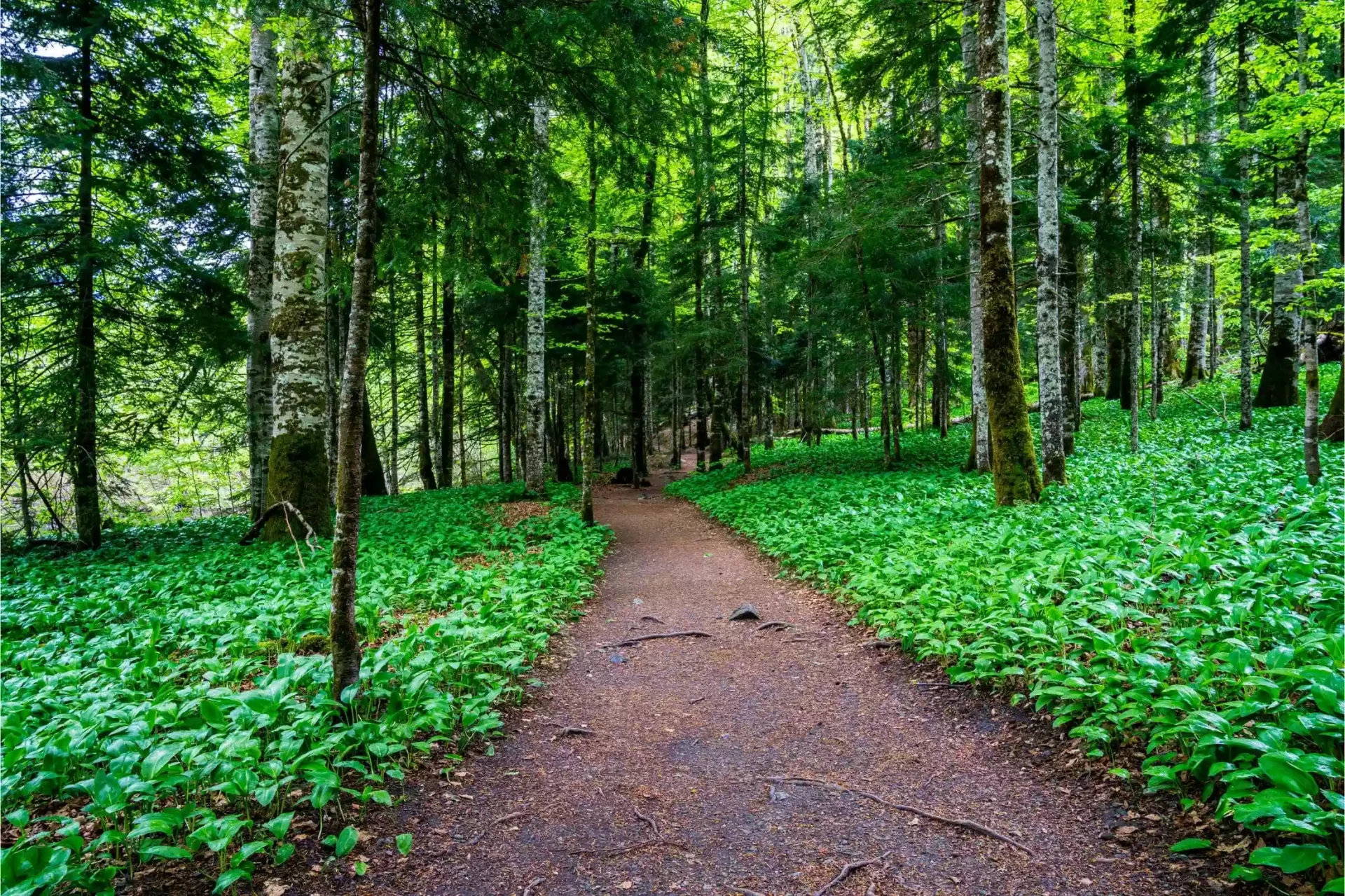 ATV Tours in Montenegro
