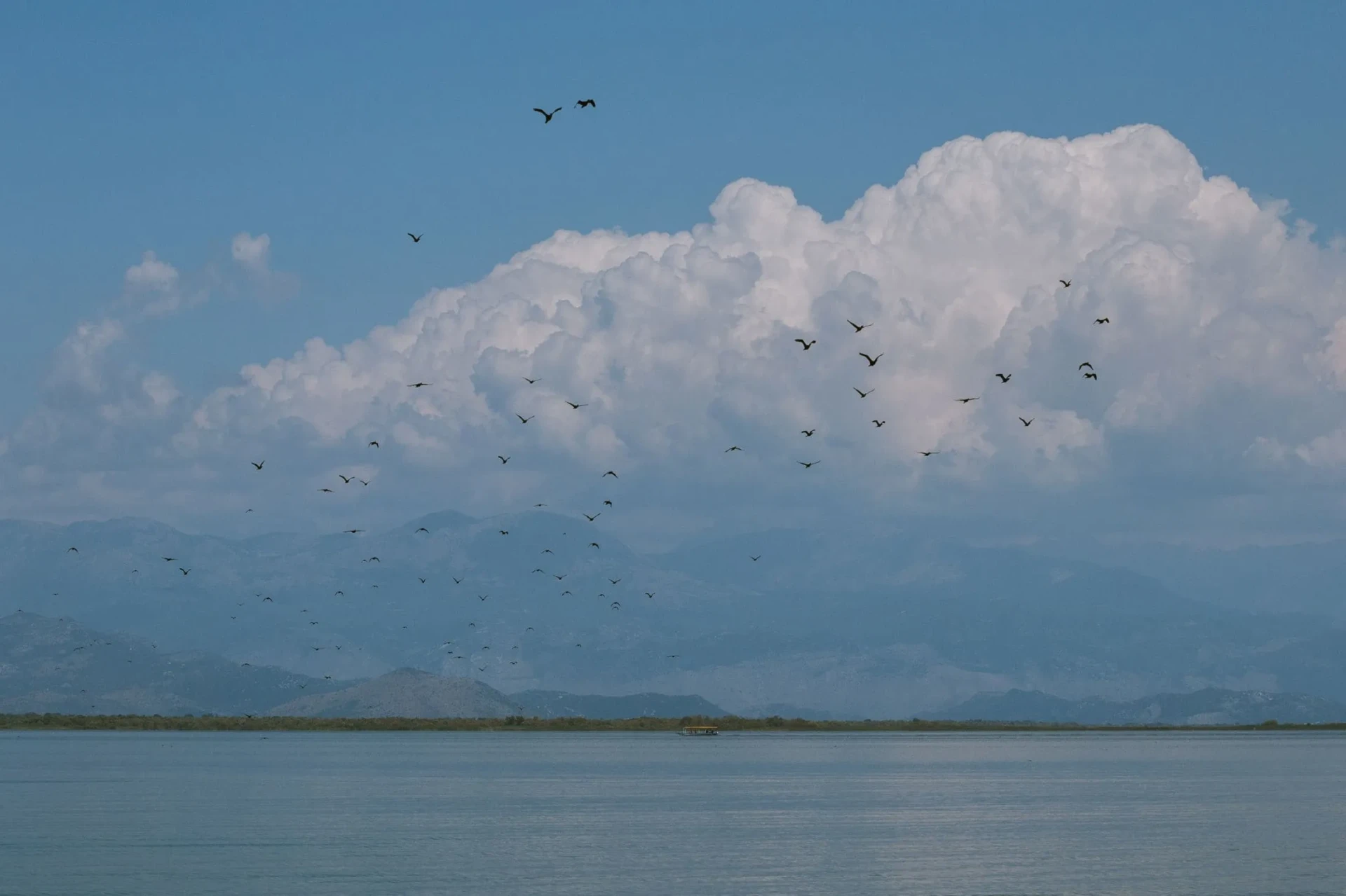 Birdwatching Tours in Montenegro