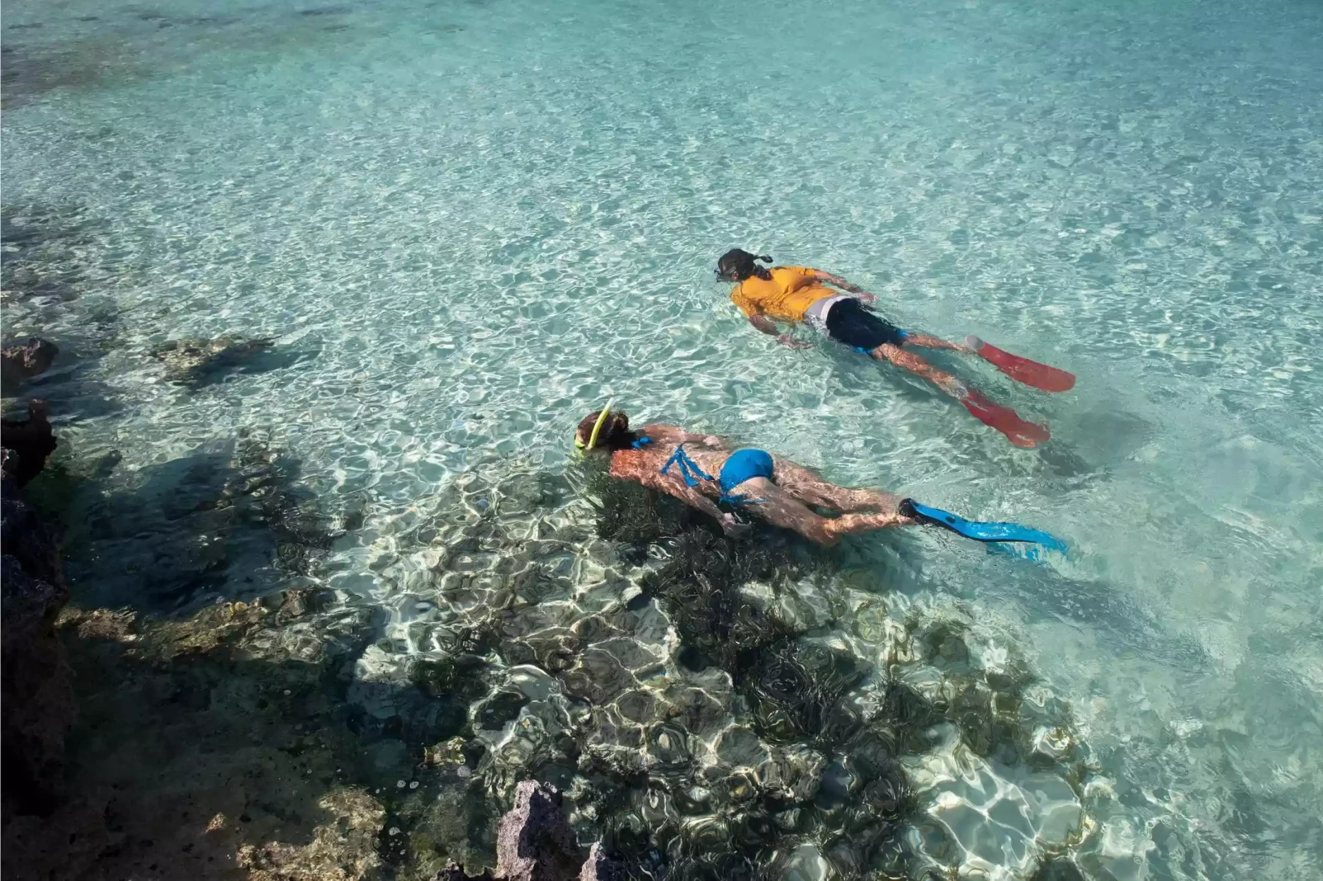 Montenegro Snorkeling Tours