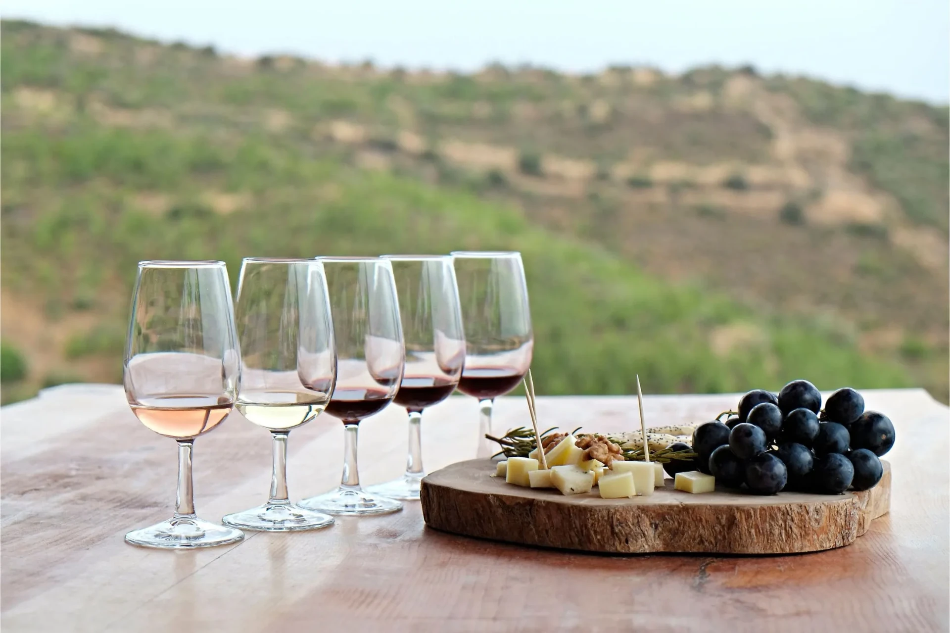 Wine Tours in Montenegro