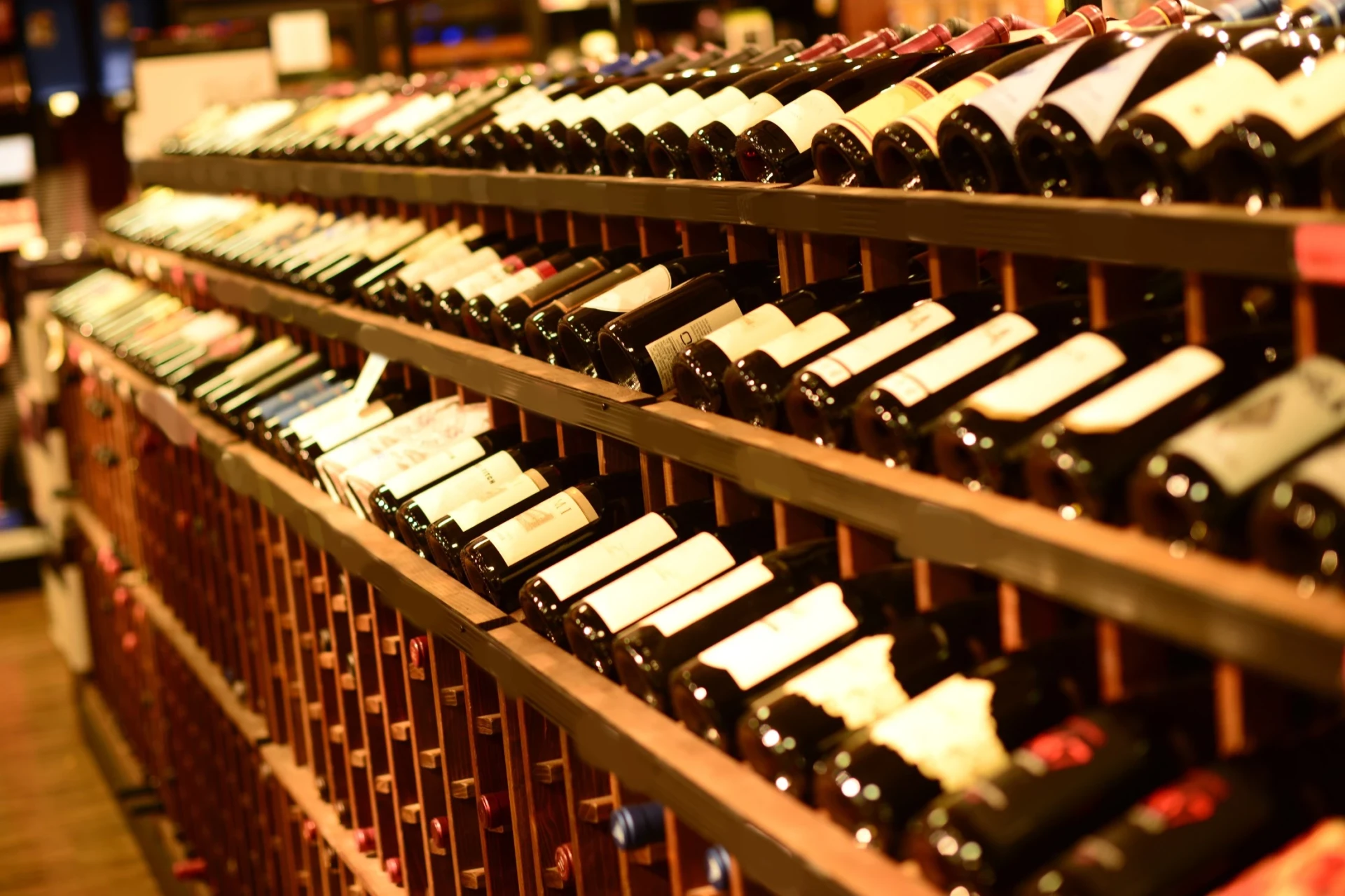 Wine Tours in Montenegro