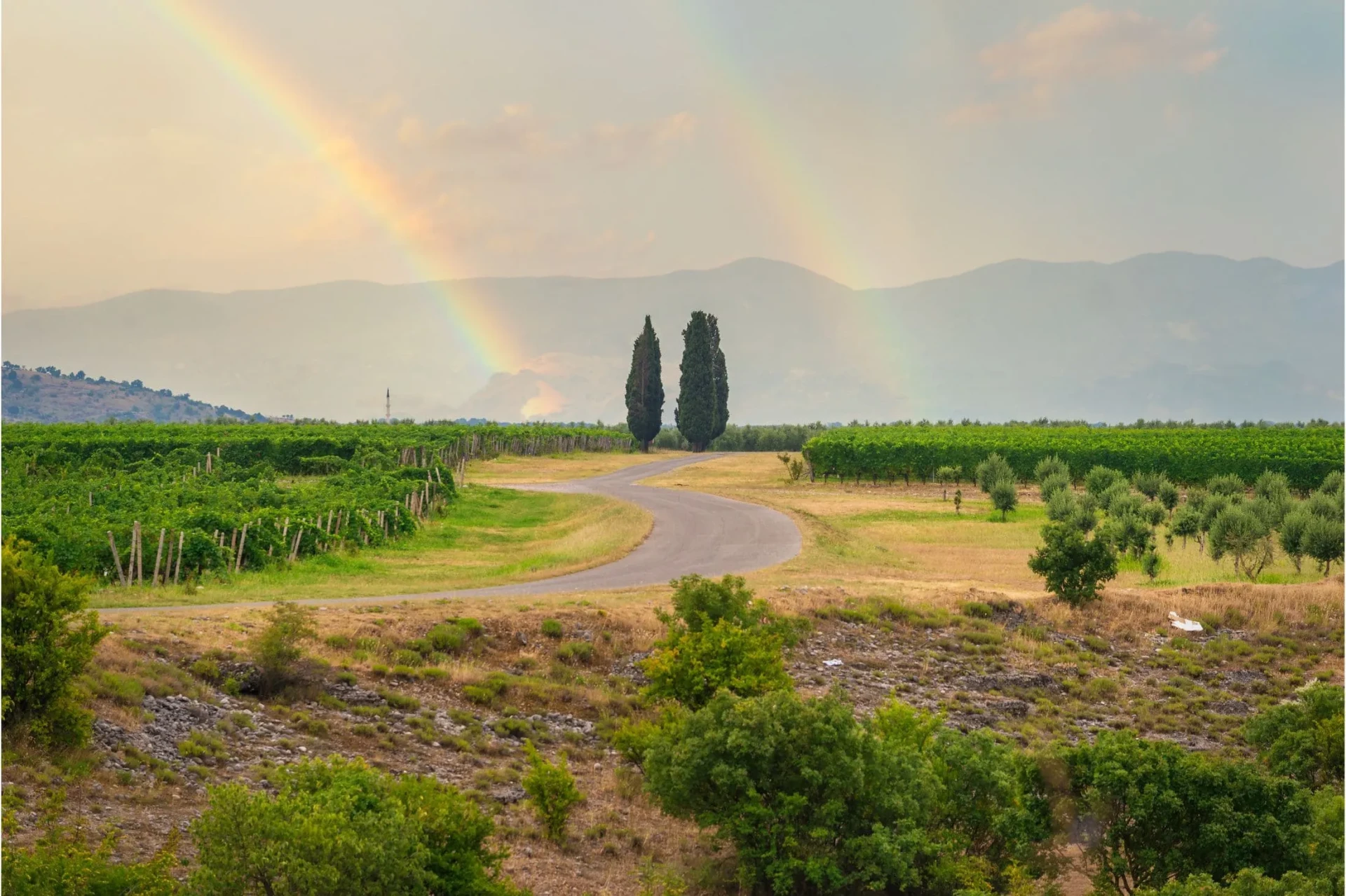 Wine Tours in Montenegro